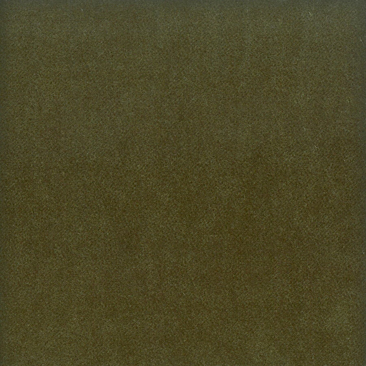 Moore 2 Jungle by Stout Designer Fabric TIMELESS VELVETS 82%POL 18%COT SOUTH KOREA FLAME RETARDANT-U.F.A.C. CLASS 1 CATB 117-2013 WYZENBEEK 20 000 DOUBLE RUB WEAR TEST (HEAVY DUTY) Horizontal: 0 and Vertical: 0 54.75 in - Swanky Fabrics -