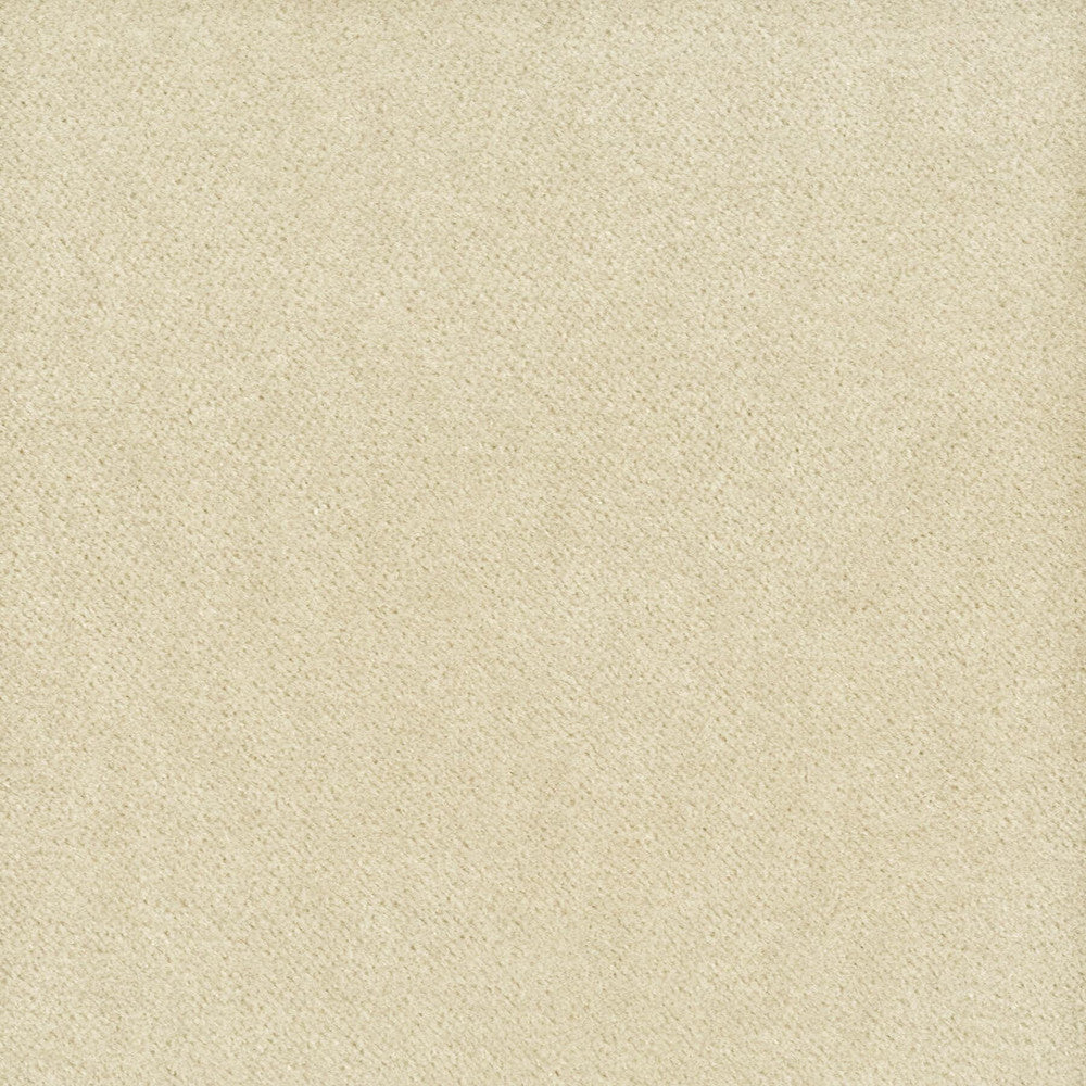 Moore 30 Pumice by Stout Fabric TIMELESS VELVETS 82%POL 18%COT SOUTH KOREA PERFORMANCE RATED FABRIC WYZENBEEK 50 000 DOUBLE RUB WEAR TEST (HEAVY DUTY) Horizontal: 0.000 and Vertical: 0.000 54.75 in - Fabric Carolina -