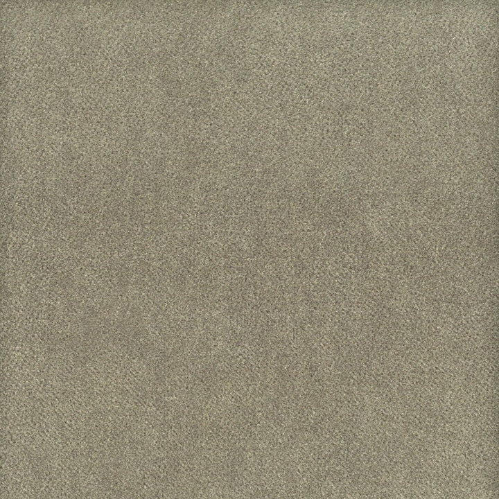 Moore 34 Nickel by Stout Designer Fabric TIMELESS VELVETS 82%POL 18%COT SOUTH KOREA FLAME RETARDANT-U.F.A.C. CLASS 1 CATB 117-2013 WYZENBEEK 20 000 DOUBLE RUB WEAR TEST (HEAVY DUTY) </p><p>Repeat: 0 54.75 in - Swanky Fabrics -