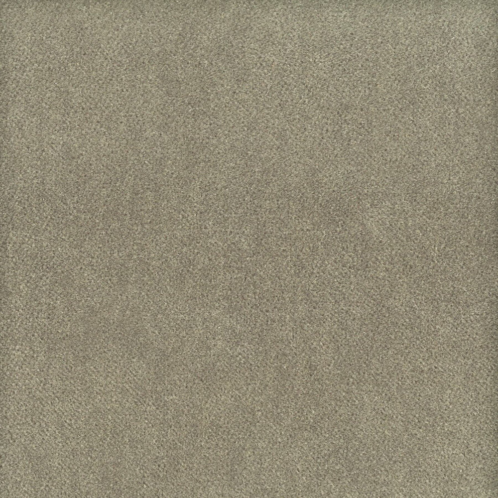 Moore 34 Nickel by Stout Designer Fabric Timeless Velvets 82% Polyester 18% Cotton SOUTH KOREA FLAME RETARDANT-U.F.A.C. CLASS 1 (OR A) CATB 117-2013 WYZENBEEK 20 000 DOUBLE RUB WEAR TEST (HEAVY DUTY) Horizontal: 0 and Vertical: 0 54.75 in - Swanky Fabrics -