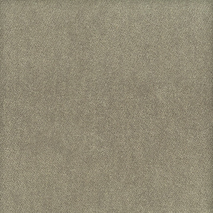 Moore 34 Nickel by Stout Fabric Stout Fabric Moore 34 NickelFabric TIMELESS VELVETS 82%POL 18%COT SOUTH KOREA </p><p>Repeat: H: 0.000, V: 0.000 54.75 in - Fabric Carolina -