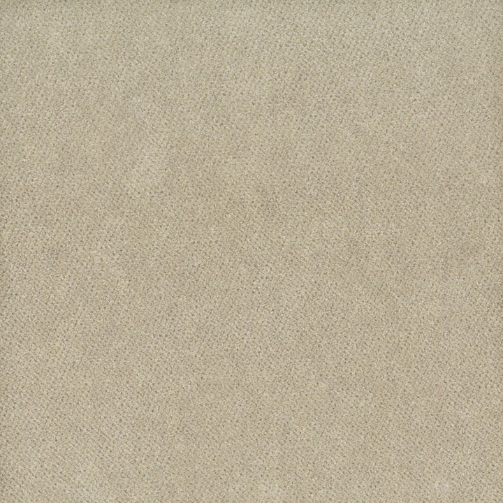 Moore 35 Dove by Stout Fabric Timeless Velvets 82% Polyester 18% Cotton SOUTH KOREA FLAME RETARDANT-U.F.A.C. CLASS 1 (OR A) CATB 117-2013 WYZENBEEK 20 000 DOUBLE RUB WEAR TEST (HEAVY DUTY) Horizontal: 0 and Vertical: 0 54.75 in - Fabric Carolina -