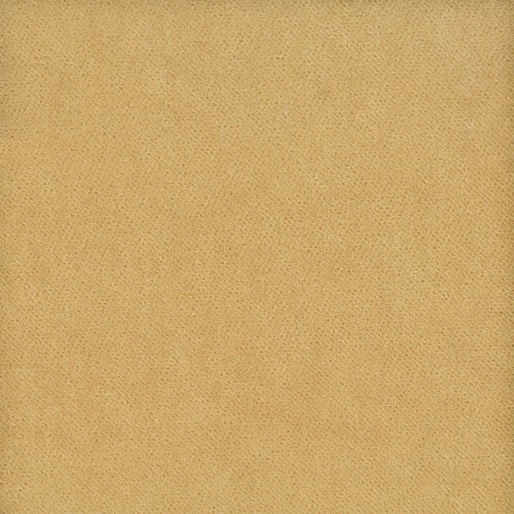 Moore 5 Champagne by Stout Fabric TIMELESS VELVETS 82%POL 18%COT SOUTH KOREA FLAME RETARDANT-U.F.A.C. CLASS 1 CATB 117-2013 WYZENBEEK 20 000 DOUBLE RUB WEAR TEST (HEAVY DUTY) </p><p>Repeat: 0 54.75 in - Fabric Carolina -