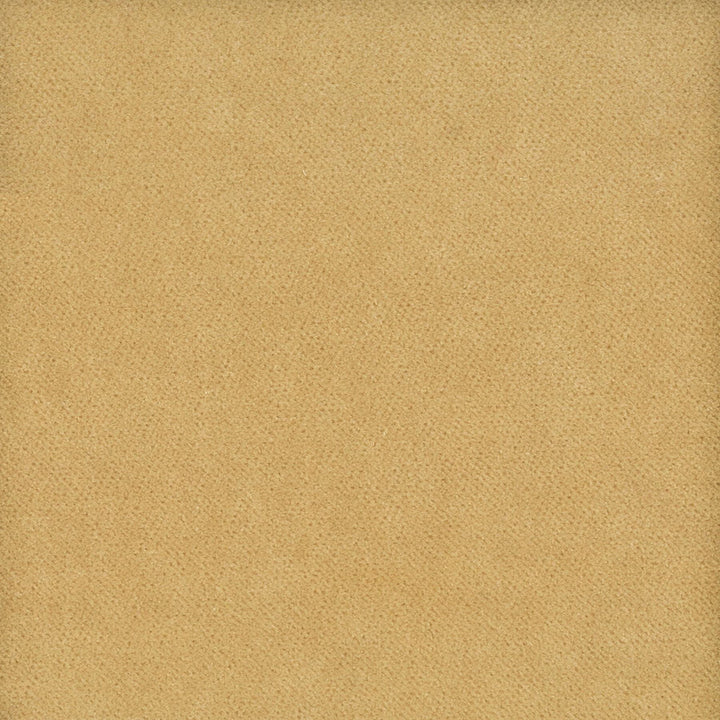 Moore 5 Champagne by Stout Fabric TIMELESS VELVETS 82%POL 18%COT SOUTH KOREA FLAME RETARDANT-U.F.A.C. CLASS 1 CATB 117-2013 WYZENBEEK 20 000 DOUBLE RUB WEAR TEST (HEAVY DUTY) </p><p>Repeat: 0 54.75 in - Fabric Carolina -