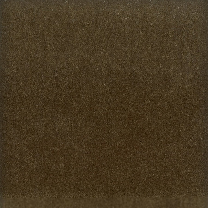 Moore 6 Twig by Stout Designer Fabric TIMELESS VELVETS 82%POL 18%COT SOUTH KOREA FLAME RETARDANT-U.F.A.C. CLASS 1 CATB 117-2013 WYZENBEEK 20 000 DOUBLE RUB WEAR TEST (HEAVY DUTY) </p><p>Repeat: 0 54.75 in - Swanky Fabrics -