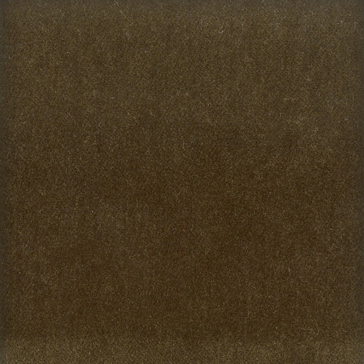 Moore 6 Twig by Stout Fabric TIMELESS VELVETS 82%POL 18%COT SOUTH KOREA FLAME RETARDANT-U.F.A.C. CLASS 1 CATB 117-2013 WYZENBEEK 20 000 DOUBLE RUB WEAR TEST (HEAVY DUTY) Horizontal: 0 and Vertical: 0 54.75 in - Fabric Carolina -