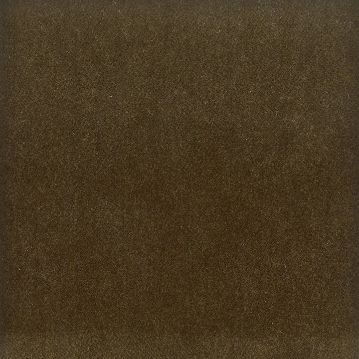 Moore 6 Twig by Stout Fabric Stout Fabric Moore 6 TwigFabric TIMELESS VELVETS 82%POL 18%COT SOUTH KOREA </p><p>Repeat: H: 0.000, V: 0.000 54.75 in - Fabric Carolina -