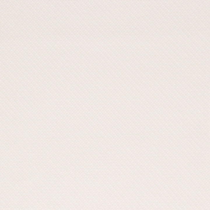 Morada Canvas by Bella-Dura Fabric  100% BELLA DURA POLYOLEFIN USA 70000 H: N/A V: N/A 53.5''  - Fabric Carolina -