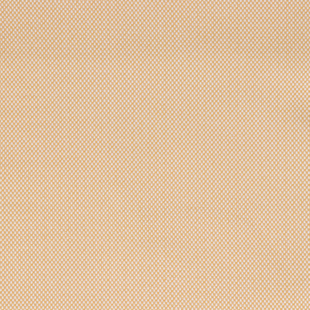 Morada Golden by Bella-Dura Fabric  100% BELLA DURA POLYOLEFIN USA 70000 H: N/A V: N/A 53.5''  - Fabric Carolina -