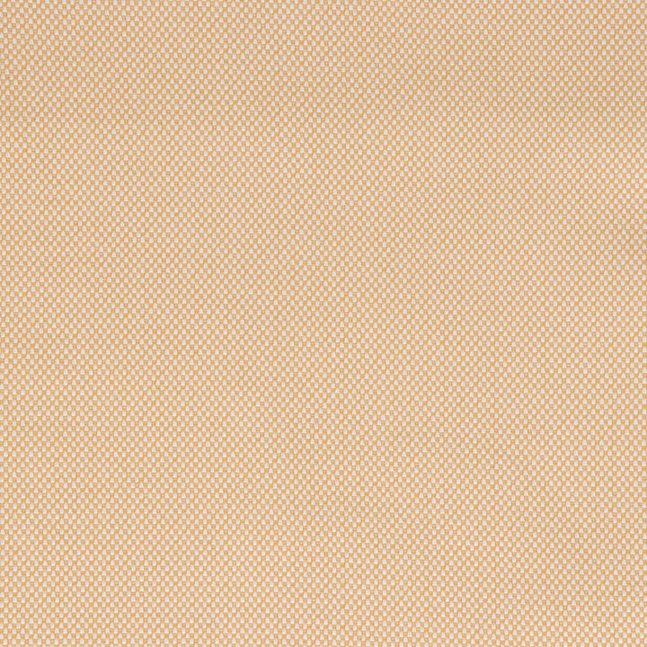 Morada Golden by Bella-Dura Fabric  100% BELLA DURA POLYOLEFIN USA 70000 H: N/A V: N/A 53.5''  - Fabric Carolina -