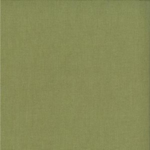 Motion Citron 318 by Norbar Fabric 100% POLYESTER CHINA 55" - Fabric Carolina -