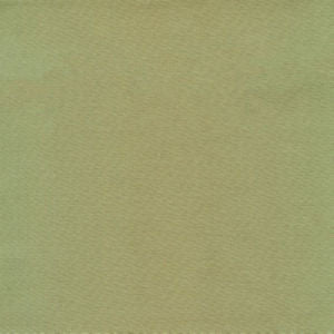 Moxy Aloe by Norbar Designer Fabric MOXY 100% MERCERIZED COTTON INDIA 54 - Swanky Fabrics -