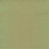 Moxy Aloe by Norbar Fabric