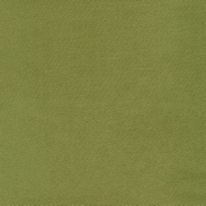 Moxy Spearmint by Norbar Designer Fabric MOXY 100% MERCERIZED COTTON INDIA 54 - Swanky Fabrics -