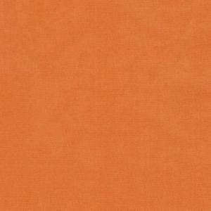 Moxy Spice by Norbar Designer Fabric MOXY 100% MERCERIZED COTTON INDIA 54 - Swanky Fabrics -