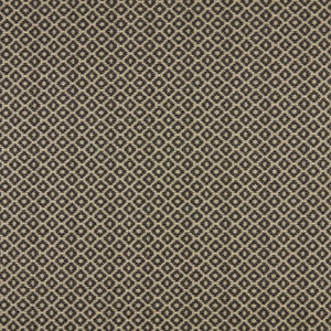 Moya 1 Charcoal by Marcus William Fabric