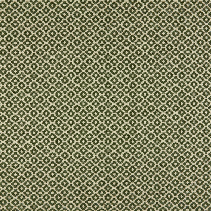Moya 2 Moss by Marcus William Fabric Marcus William Fabric Moya 2 MossFabric Kai/Marcus William Majorelle 56%Pol 44%Cot India </p><p>Repeat: H: 1.5, V: 24.375 55 in - Fabric Carolina -