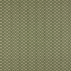 Moya 2 Moss by Marcus William Fabric