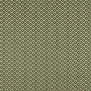 Moya 2 Moss by Marcus William Fabric