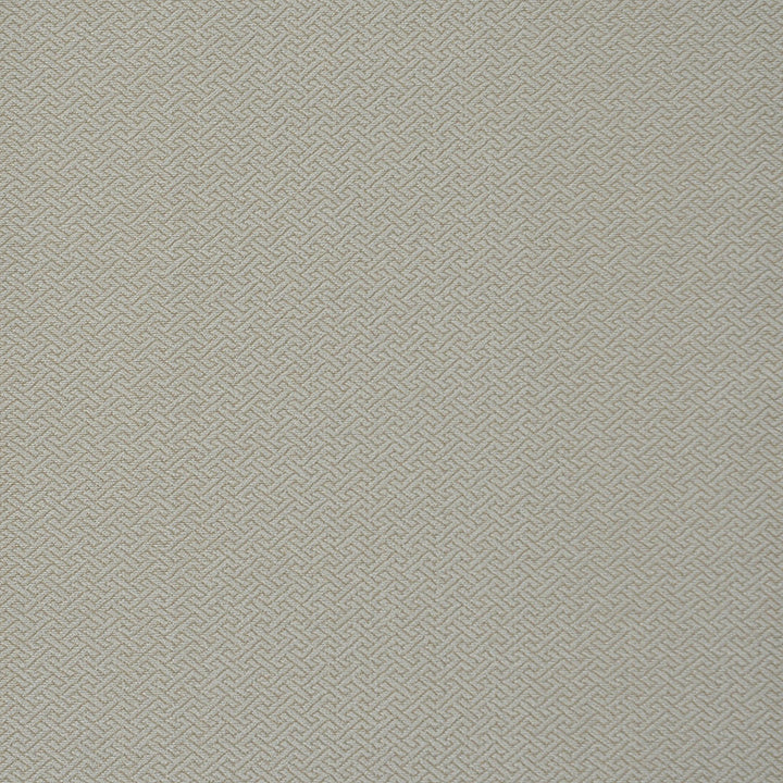 Metric # 727 Cornsilk by Maxwell Fabric PERFORMANCE WOVENS-VOL.II CANYON 100% POLYESTER USA V&H-0.75" 57" - Fabric Carolina -