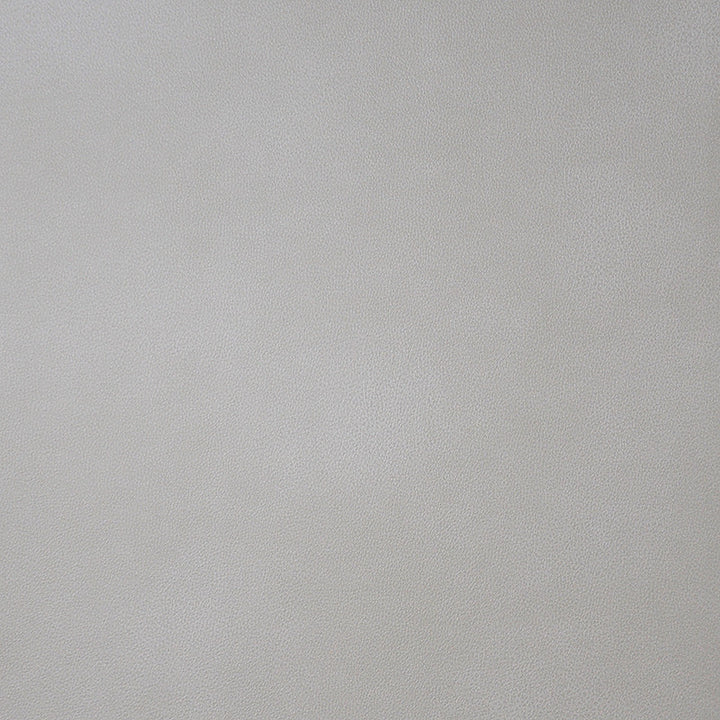 Monaco # 01 Alabaster by Maxwell Fabric Easy Rider Iii 100% POLYURETHANE CHINA 54" - Fabric Carolina -