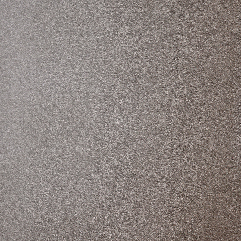 Monaco # 14 Moonstone by Maxwell Fabric Easy Rider Iii 100% POLYURETHANE CHINA 54" - Fabric Carolina -