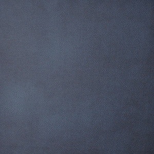 Monaco # 46 Lapis by Maxwell Fabric