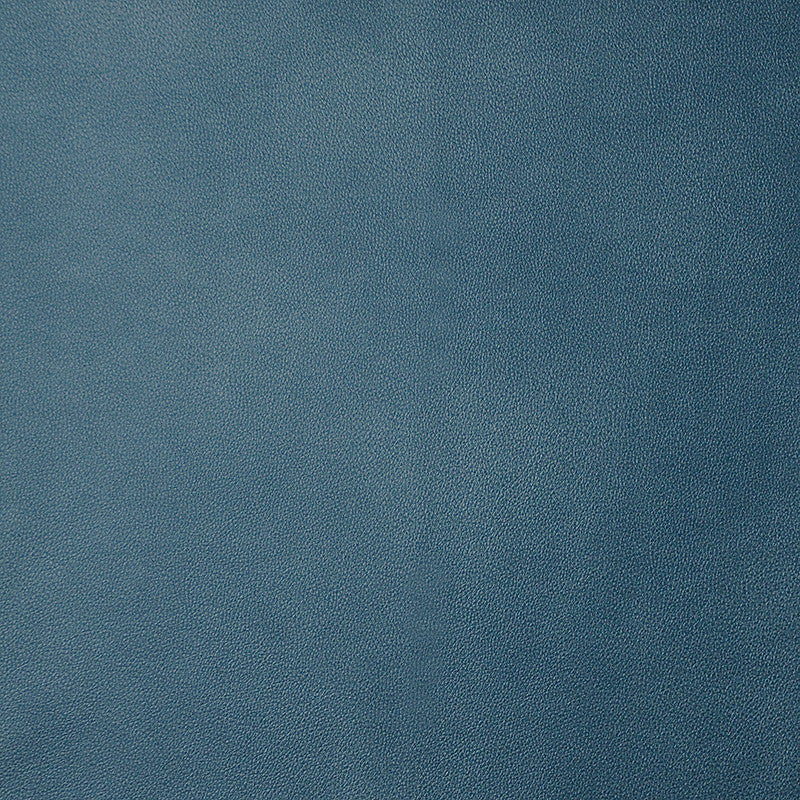 Monaco # 53 Sodalite by Maxwell Fabric Easy Rider Iii 100% POLYURETHANE CHINA 54" - Fabric Carolina -