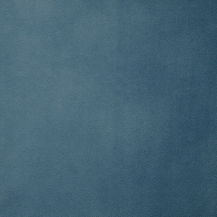 Monaco # 53 Sodalite by Maxwell Fabric Easy Rider Iii 100% POLYURETHANE CHINA 54" - Fabric Carolina -