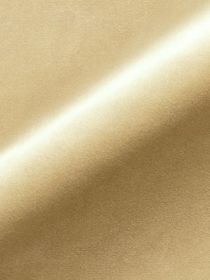 <p>Torino Velvet Sand MT12470003 by Scalamandre Fabric</p><p><strong>Required Minimum Quantity Purchase: Fabrics by the yard 1 YARD MINIMUM </p><p>Book: TORINO VELVET</p><p>Content: 100% COTTON</p><p>Origin: ITALY</p><p>Performance: MEDIUM DUTY</p><p>Repeat: Horizontal: 0" and Vertical: 0"</p><p>Width: 55</p>