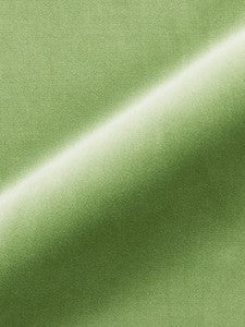 Scalamandre Fabric Torino Velvet Meadow