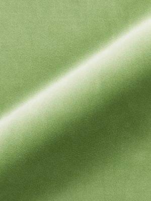<p>Torino Velvet Meadow MT12470016 by Scalamandre Fabric</p><p><strong>Required Minimum Quantity Purchase: Fabrics by the yard 1 YARD MINIMUM </p><p>Book: TORINO VELVET</p><p>Content: 100% COTTON</p><p>Origin: ITALY</p><p>Performance: MEDIUM DUTY</p><p>Repeat: Horizontal: 0" and Vertical: 0"</p><p>Width: 55</p>