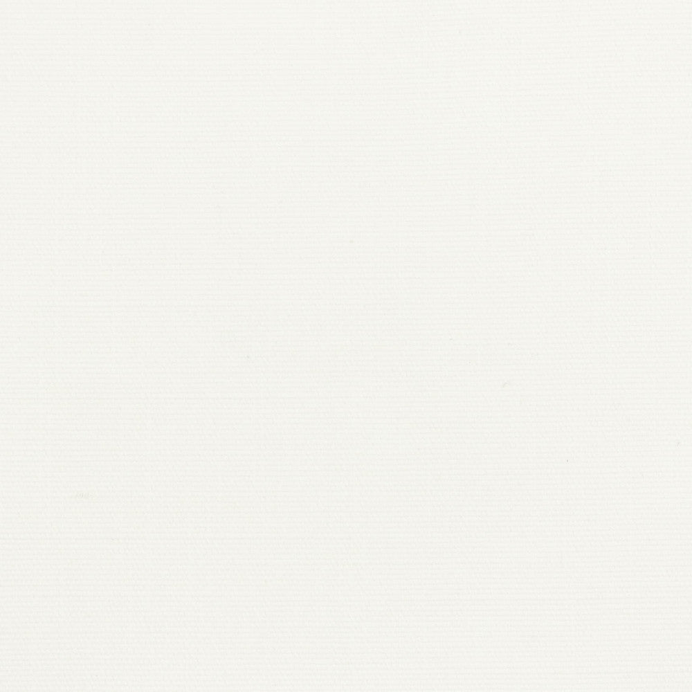 Mugo 1 Pearl by Stout Fabric COLOR APPEAL 100%COT PAKISTAN FLAME RETARDANT-CA BULLETIN 117-CLASS 1 WYZENBEEK 15 000 DOUBLE RUB WEAR TEST (HEAVY DUTY) CATB 117-2013 Horizontal: 0.000 and Vertical: 0.000 55 in - Fabric Carolina -