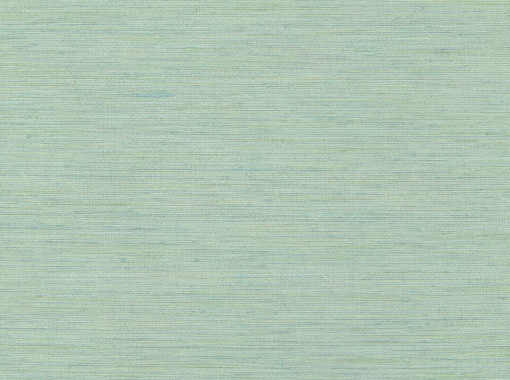 Mulberry 215 Seaspray by Covington Fabric 100% POLYESTER India 5000 Horizontal: 0 and Vertical: 0 57 - Fabric Carolina -
