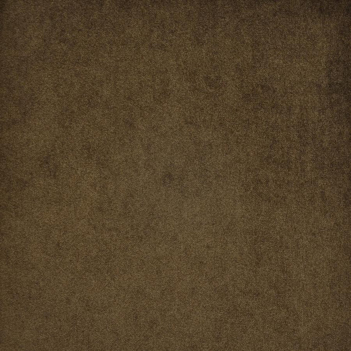 Mata Hari # 716 Russet by Maxwell Fabric Velvet Room 100% POLYESTER TURKEY 54" - Fabric Carolina -