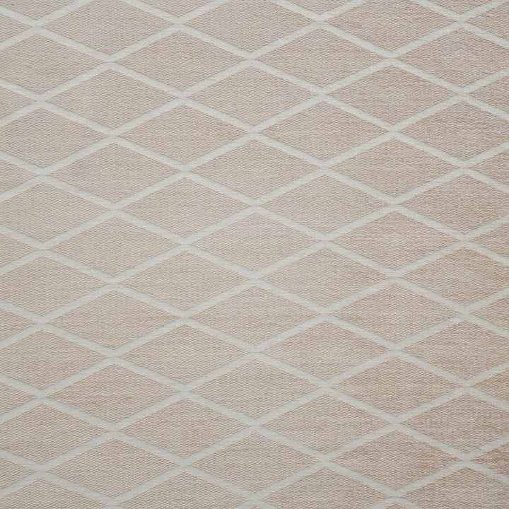 Marni # 836 Ballet Slipper by Maxwell Fabric Performance Wovens-Vol.Iv Boudoir 80% RAYON - 20% POLYESTER USA V-4"H-7" 56" - Fabric Carolina -