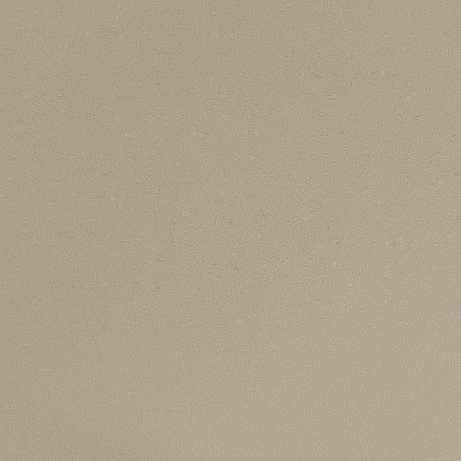 Matinee # 709 Kiln by Maxwell Fabric Easy Rider Vii FACE: 100% POLYURETHANE
BACKING: 100% POLYESTER CHINA 54" - Fabric Carolina -