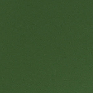 Matinee # 742 Grass by Maxwell Fabric