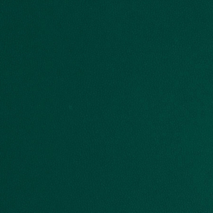 Matinee # 744 Pine by Maxwell Fabric Easy Rider Vii FACE: 100% POLYURETHANE
BACKING: 100% POLYESTER CHINA 54" - Fabric Carolina -