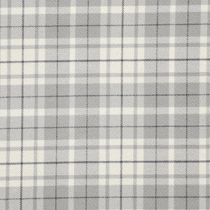 Muir # 438 Raincloud by Maxwell Fabric