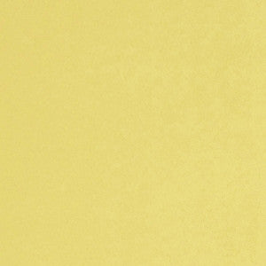 Myles 16J7121 By JF Fabric