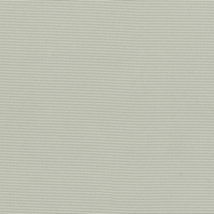 Ambrosia 90 Ash by SolarShade Fabric 100% Solution Dyed Polyester CN 150,000 Double Rubs (Wyzenbeek) </p><p>Repeat: Horizontal: and Vertical: 54 in. (137 cm) - Fabric Carolina -