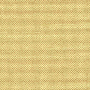 Maglia Goldenrod by Spradling Fabric