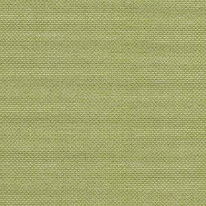 Maglia Sage by Spradling Fabric