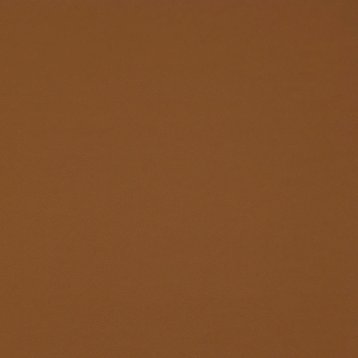 Matinee Caramel by Europatex Fabric Matinee Surface: 100% Polycarbonate PU (Phthalate Free) Backing: 100% Polyester 0.00" 54.00 inches - Fabric Carolina -