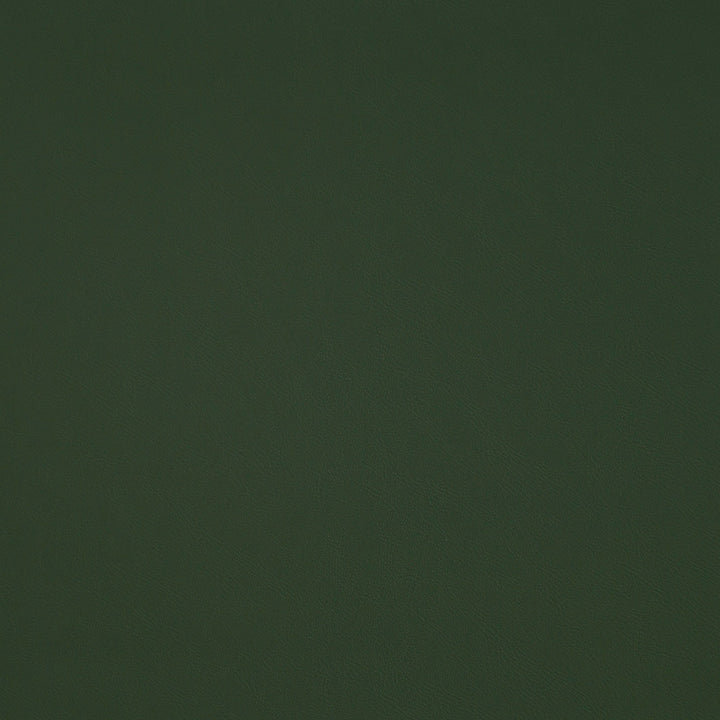 Matinee Grass by Europatex Fabric Matinee Surface: 100% Polycarbonate PU (Phthalate Free) Backing: 100% Polyester 0.00" 54.00 inches - Fabric Carolina -