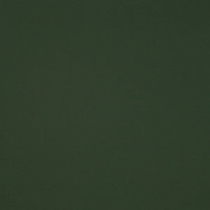 Matinee Grass by Europatex Fabric