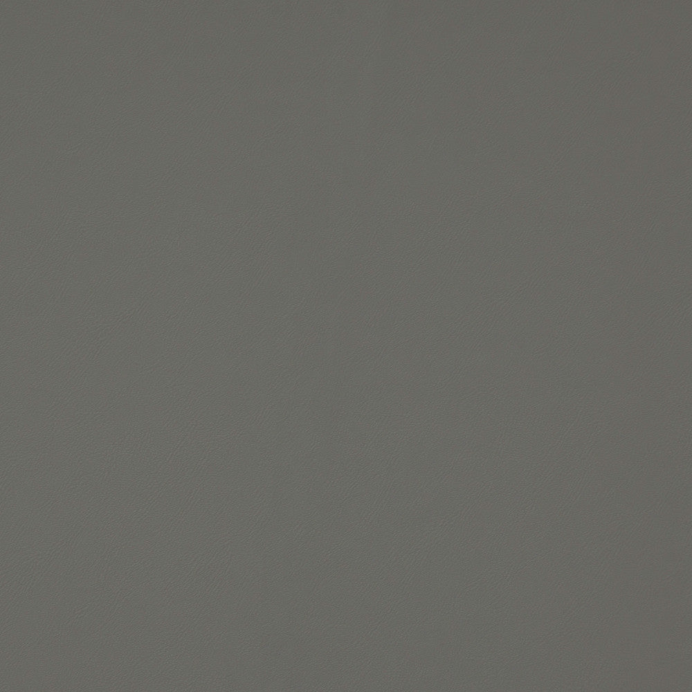 Matinee Gray by Europatex Fabric Matinee Surface: 100% Polycarbonate PU (Phthalate Free) Backing: 100% Polyester 0.00" 54.00 inches - Fabric Carolina -