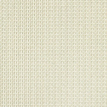 Motto Vanilla Bean by Crypton Fabric See sample 100% Recycled Polyester 100000 Horizontal: Not Applicable and Vertical: Not Applicable 54" - Fabric Carolina -