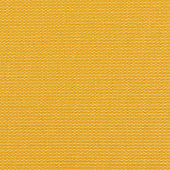 Moxie Forsythia by Nassimi Fabric See sample 100% Vinyl 250000 Horizontal: Not Applicable and Vertical: Not Applicable 54" - Fabric Carolina -